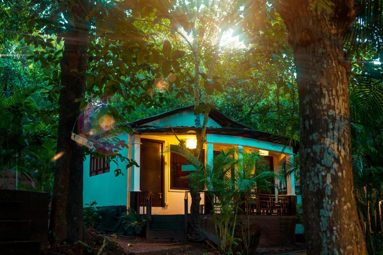 La La Land Resort Goa By Spicy Mango Palolem Eksteriør billede
